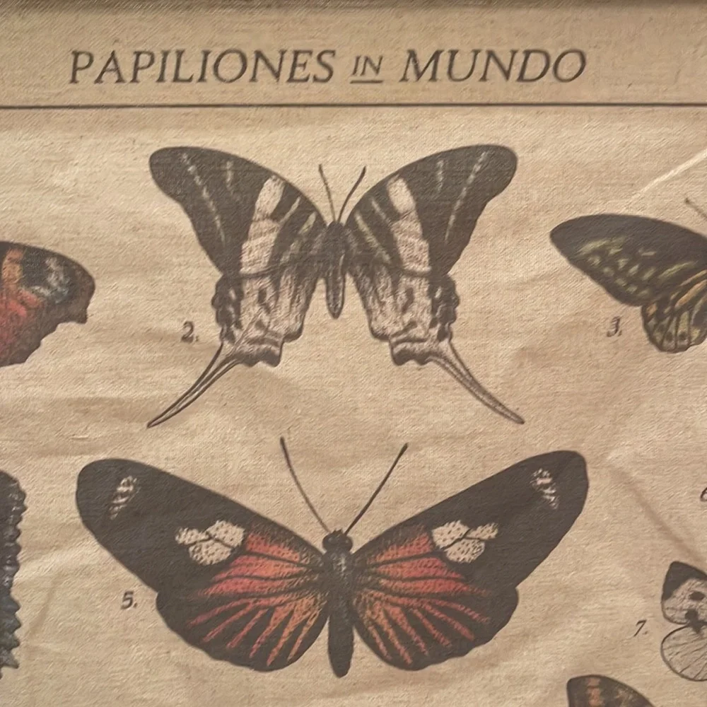 Earthbound butterflies in the world wall hanging - Picture 2 of 4